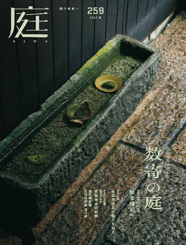 issue image