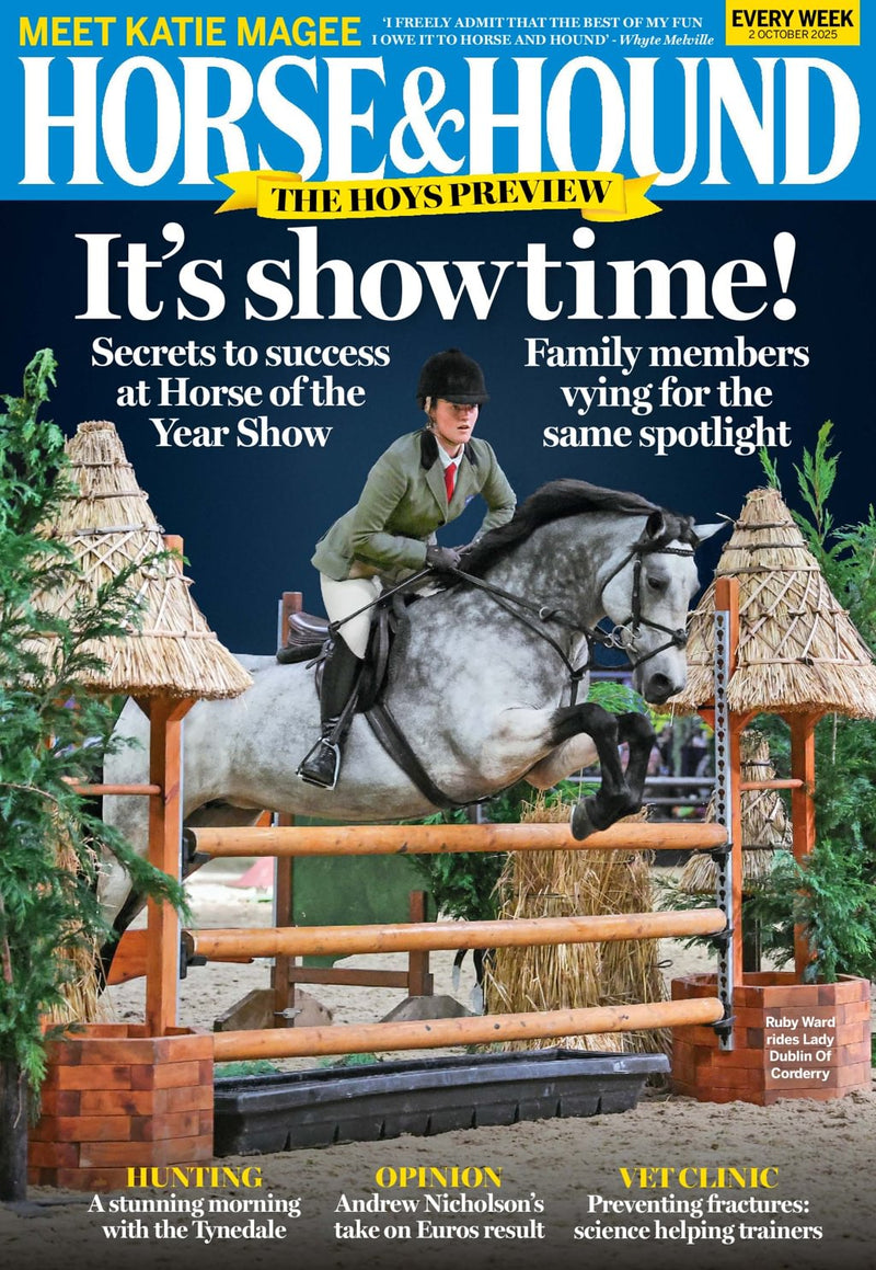 issue image