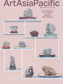 issue image