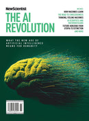 issue image