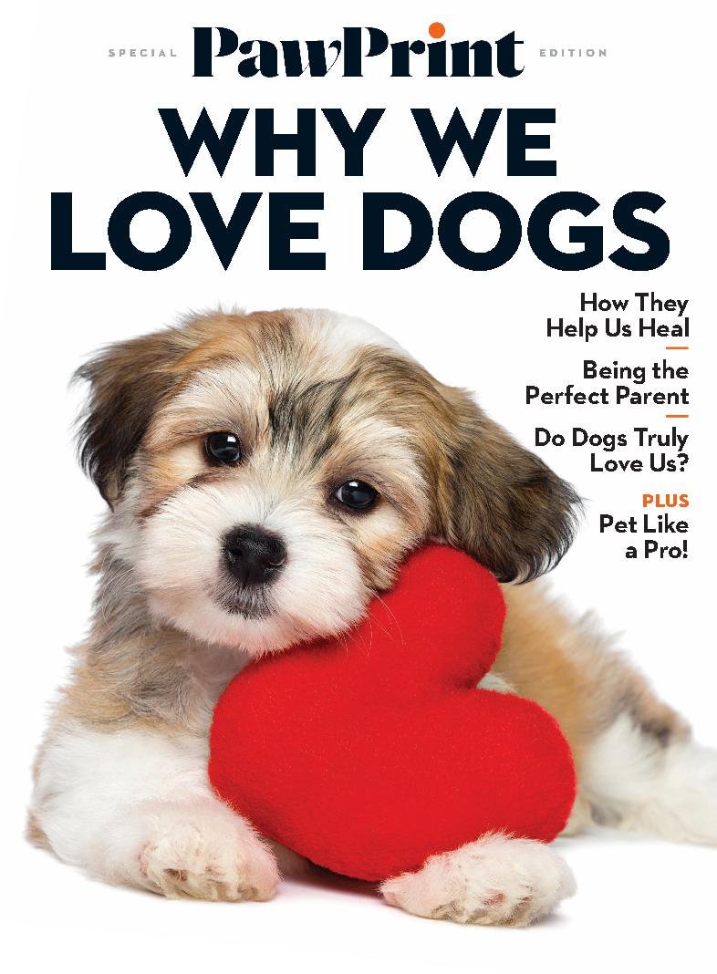 issue image