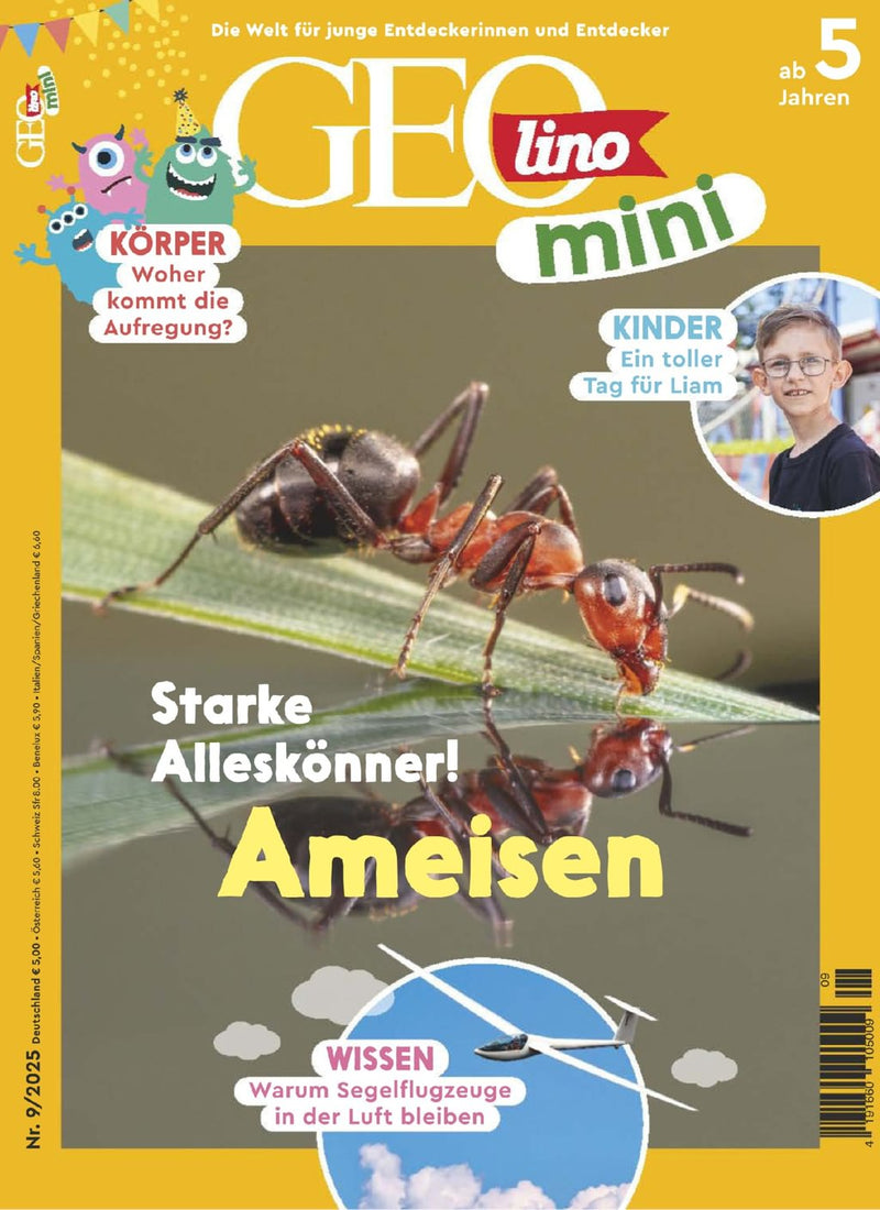 issue image