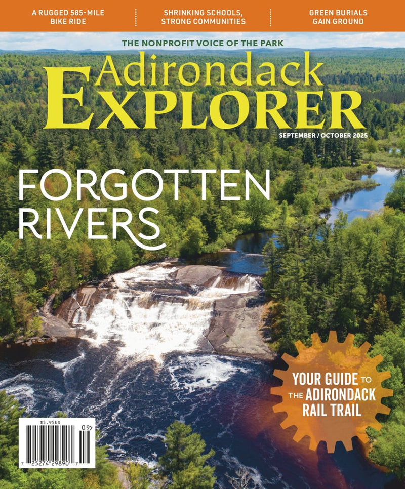 issue image