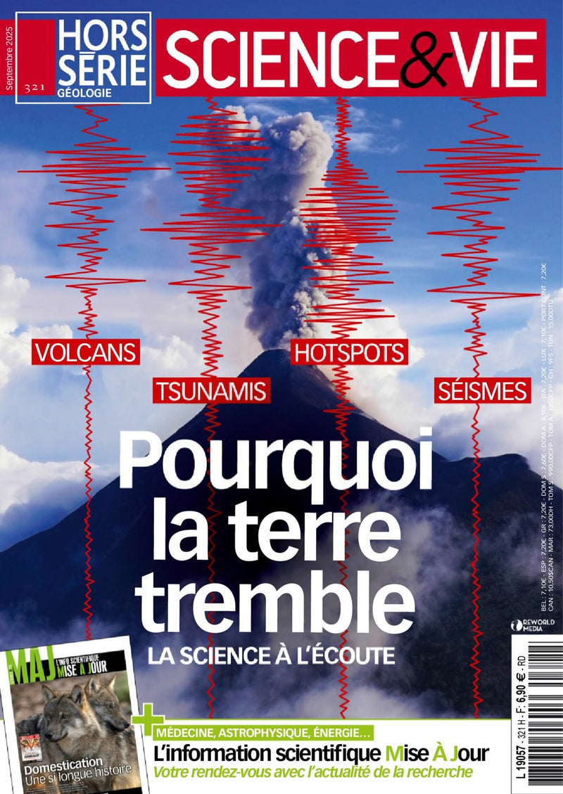 issue image
