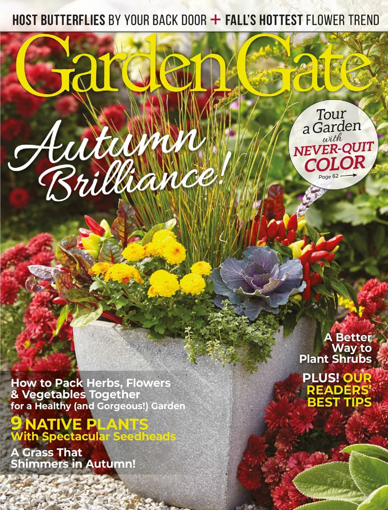 issue image