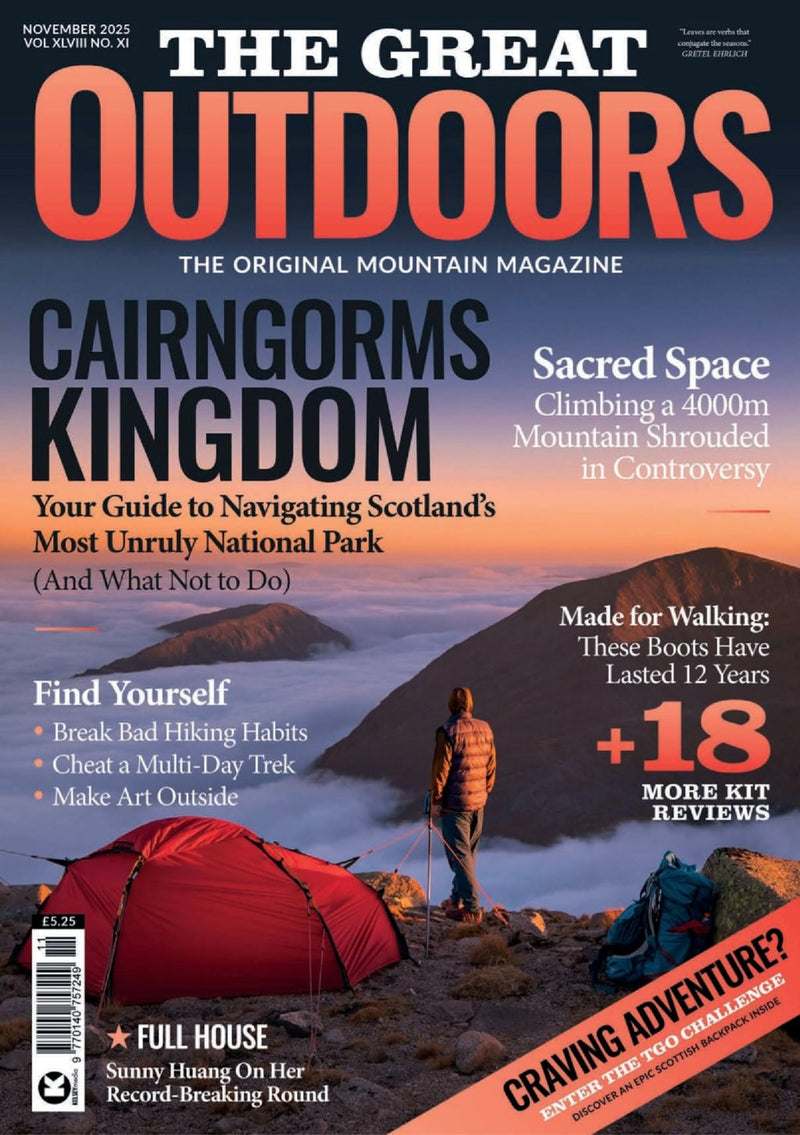 issue image