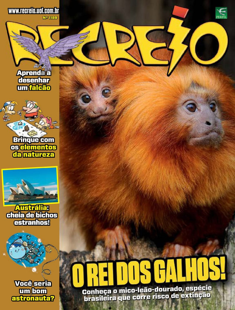 issue image