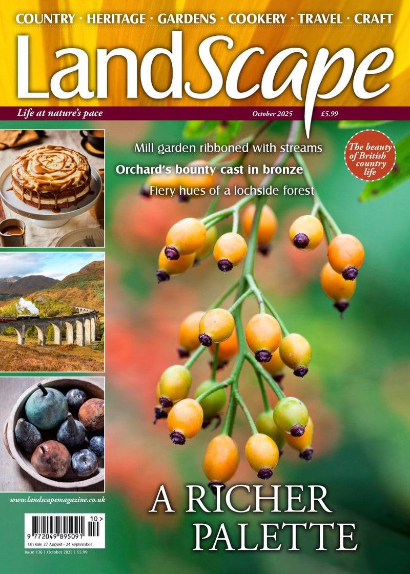 issue image
