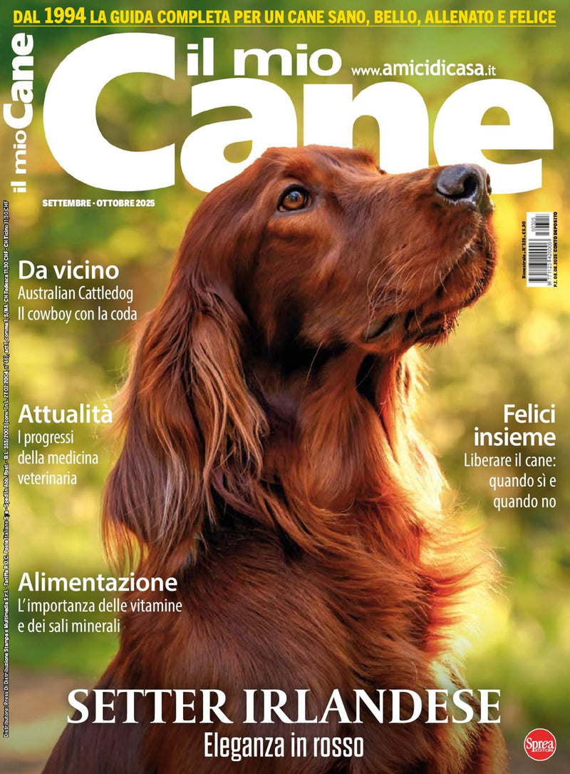 issue image