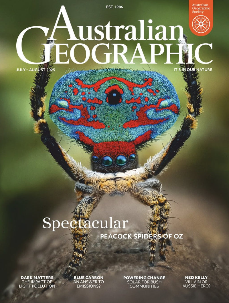 issue image