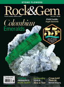 issue image