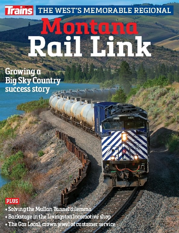 issue image