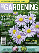 issue image