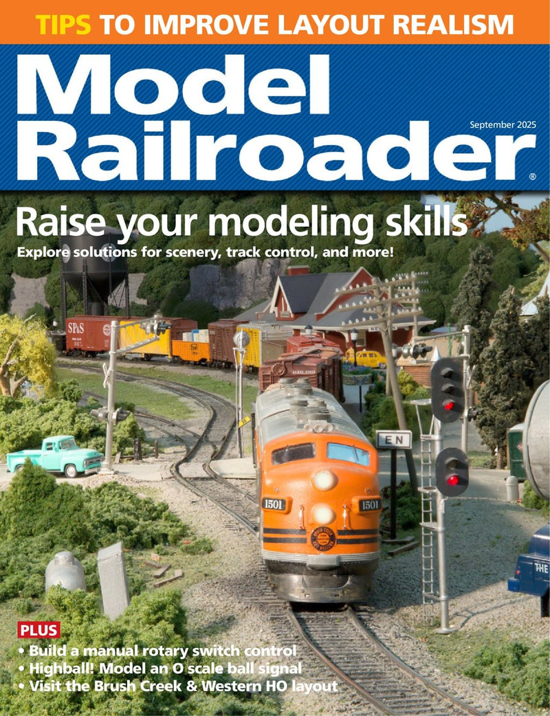 issue image