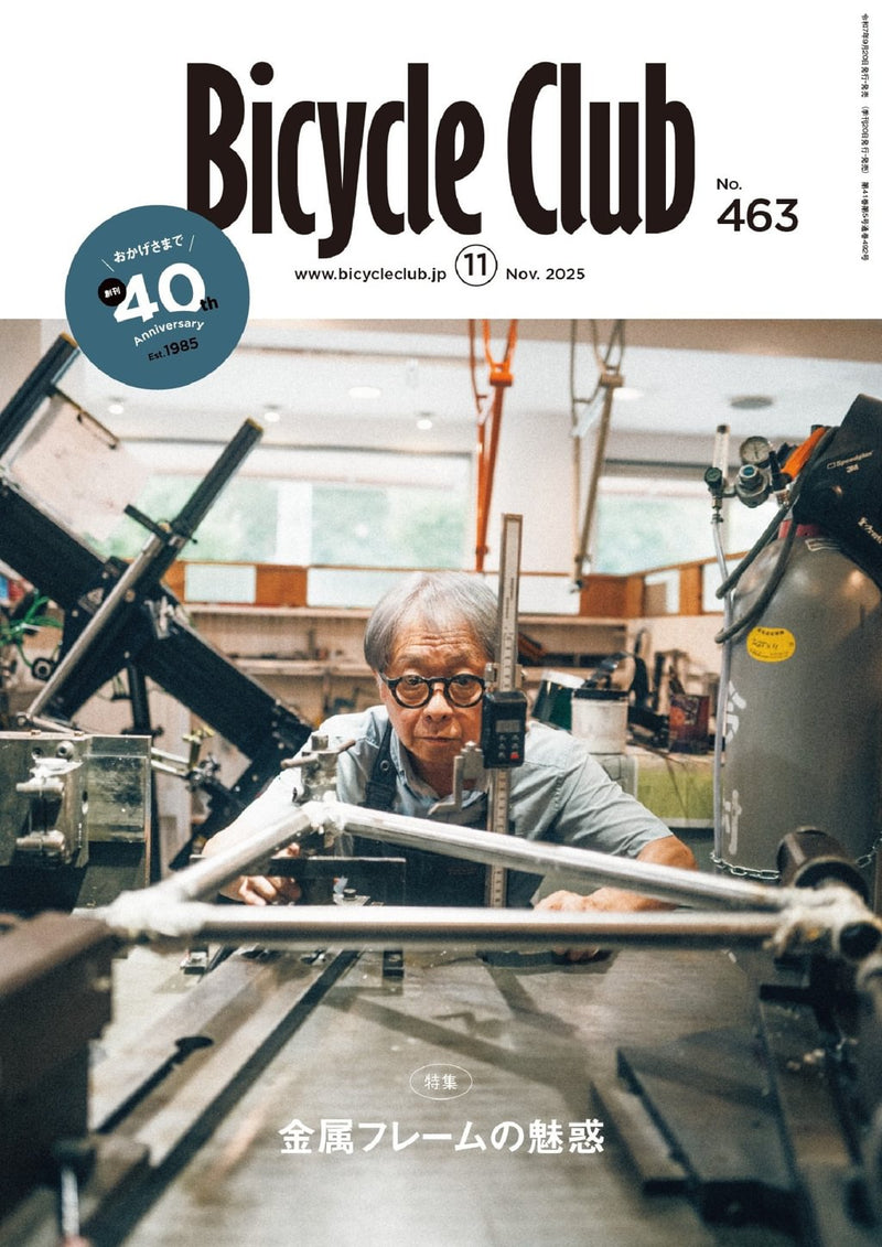 issue image