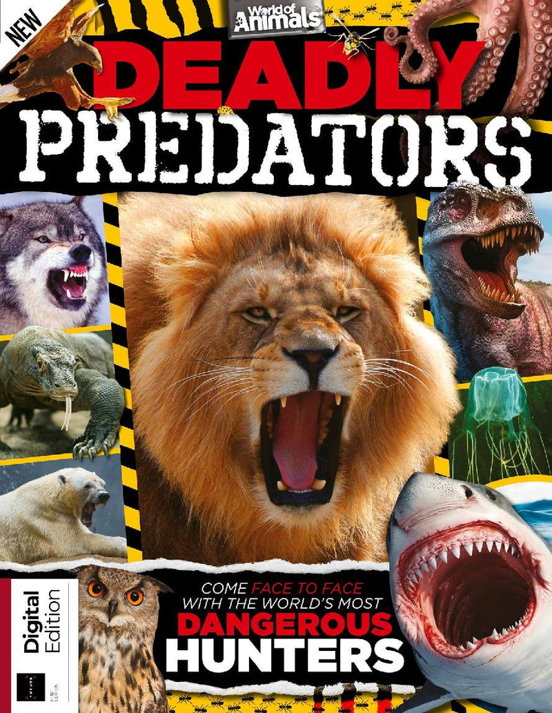 issue image