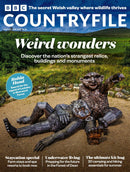 issue image