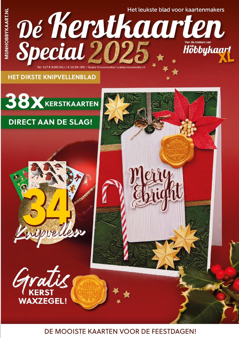 issue image