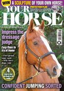 issue image