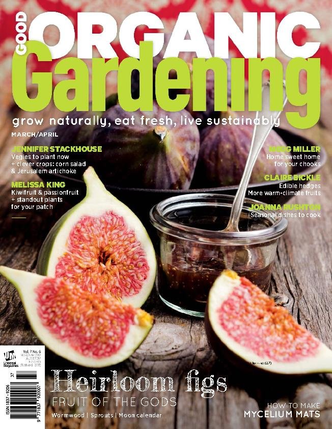 issue image
