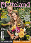 issue image