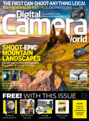 issue image