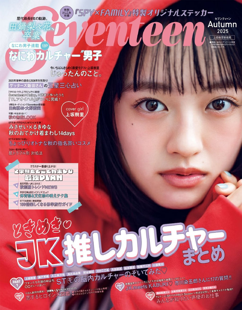 issue image