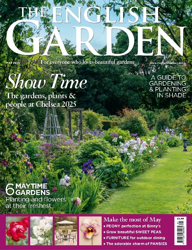 issue image