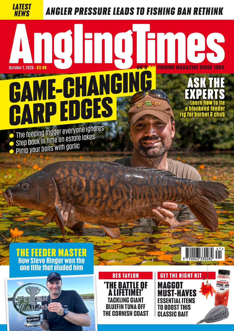 issue image