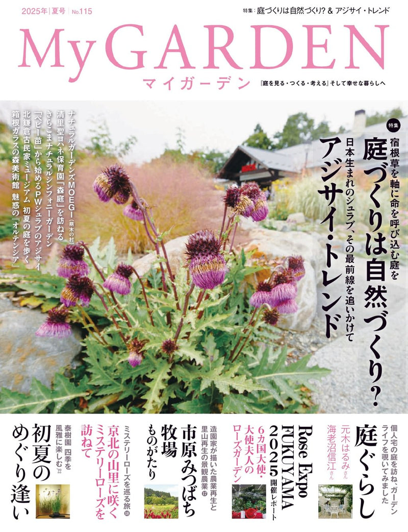 issue image