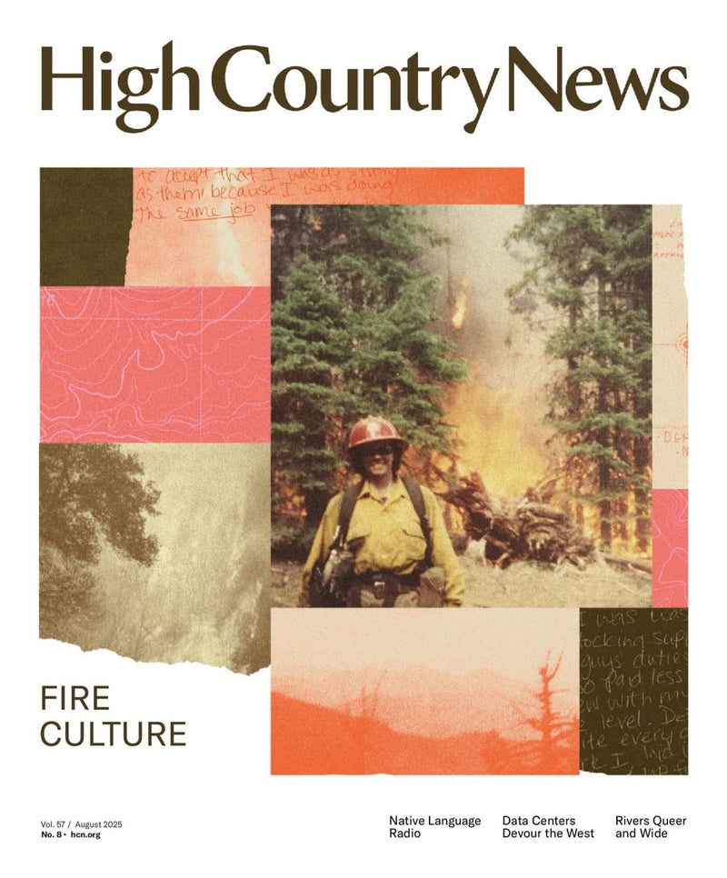 issue image