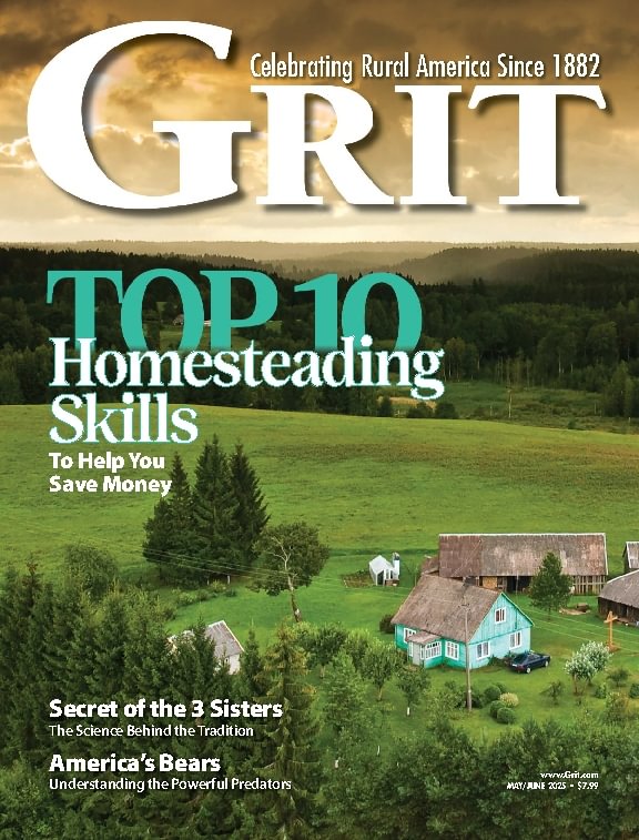 issue image