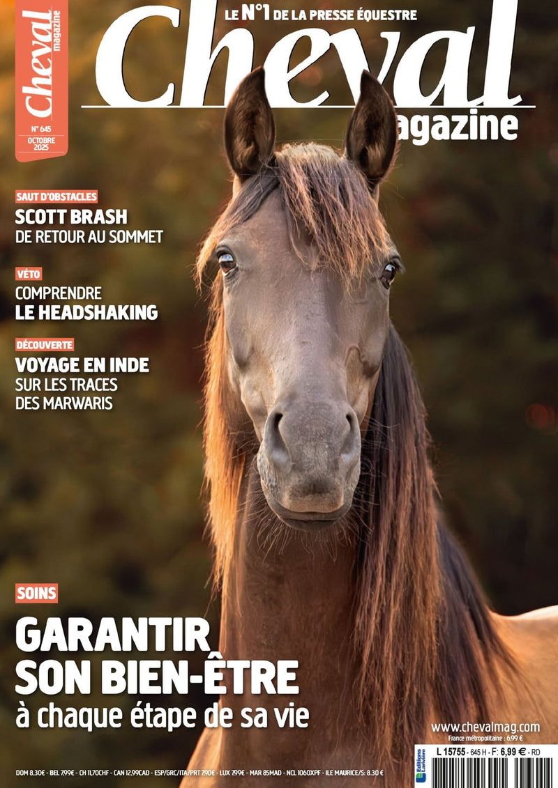 issue image