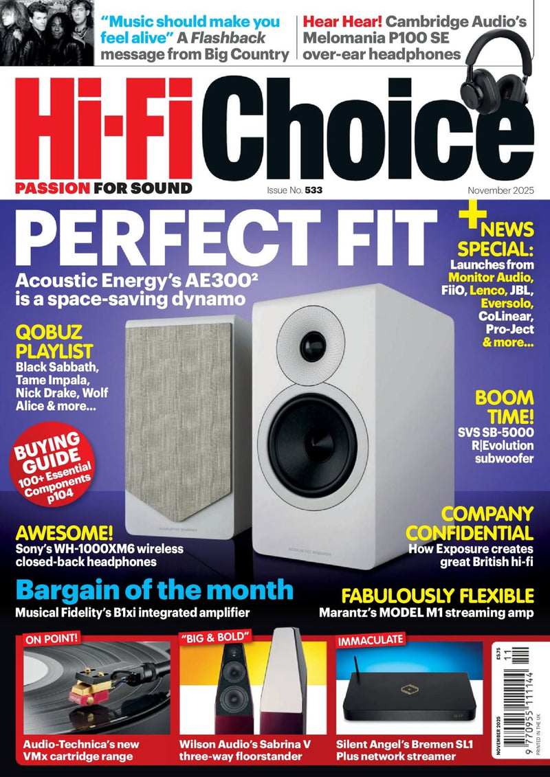 issue image