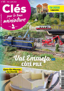 issue image