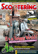 issue image