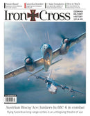 issue image