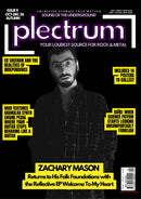 issue image