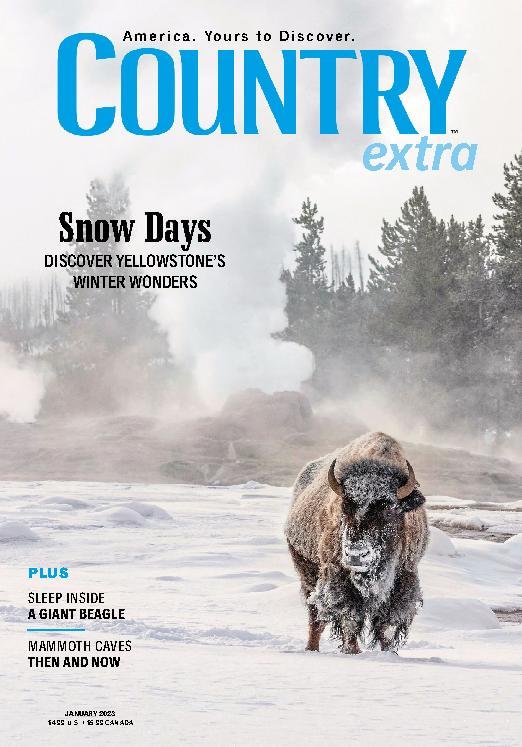 issue image
