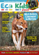 issue image