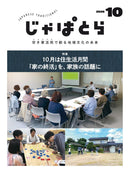 issue image
