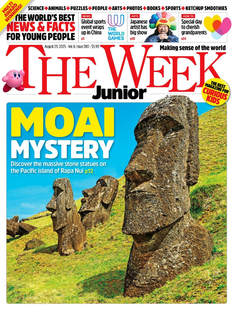 issue image