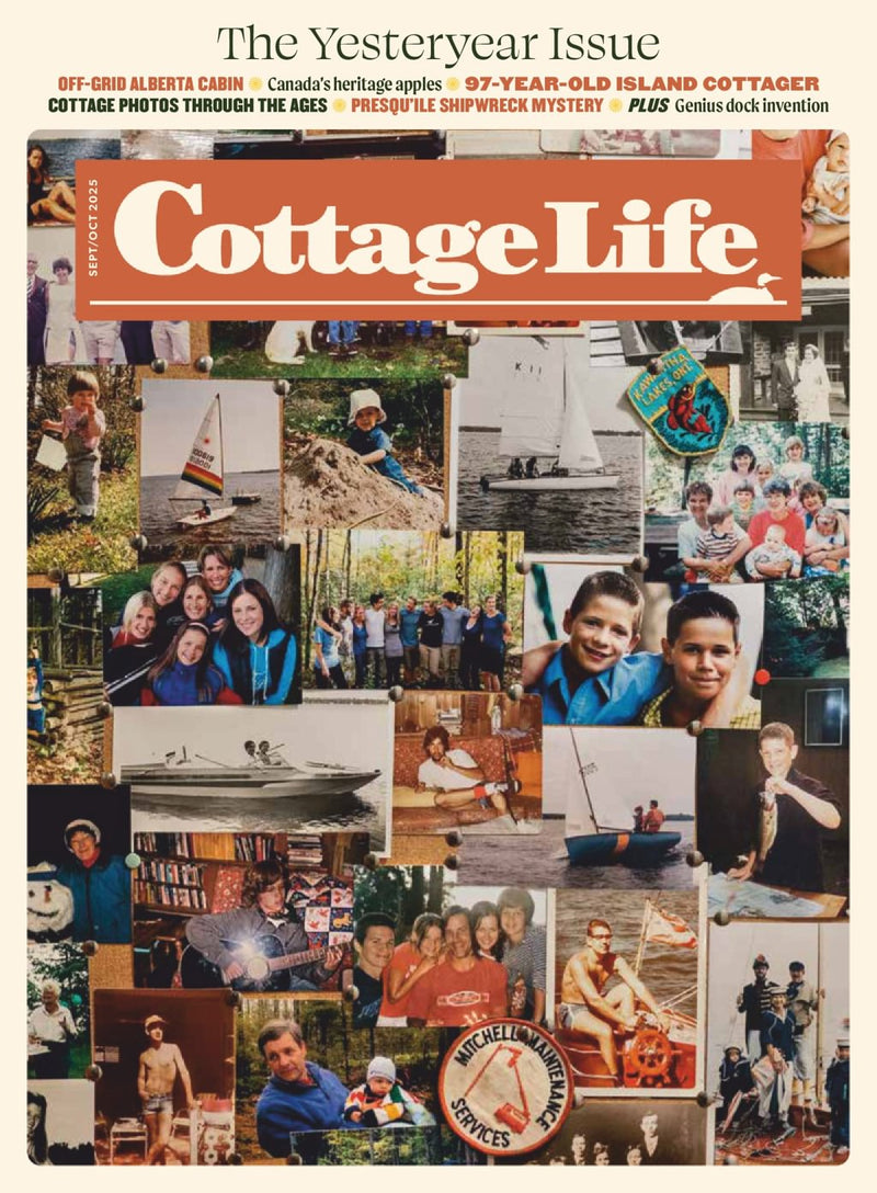 issue image