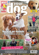 issue image
