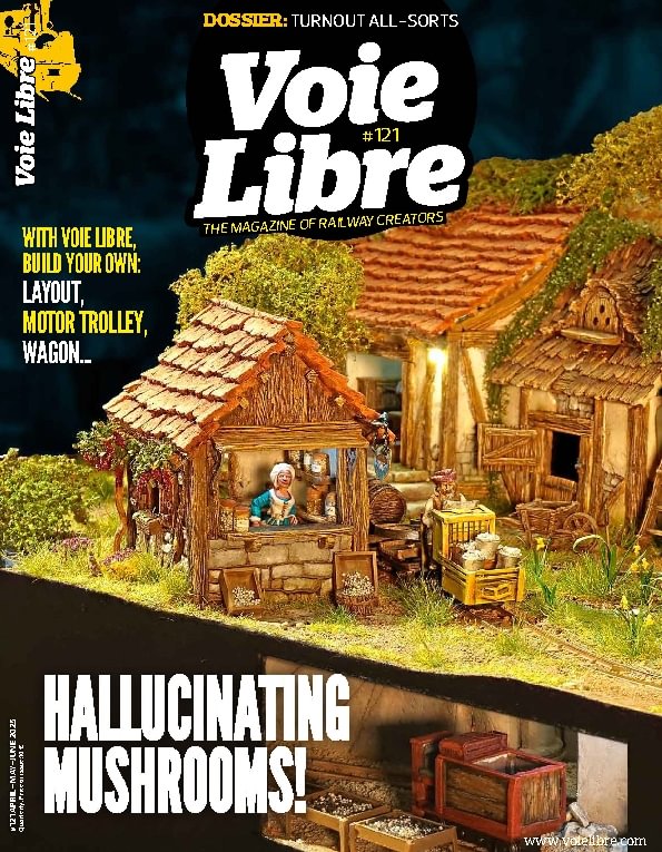 issue image