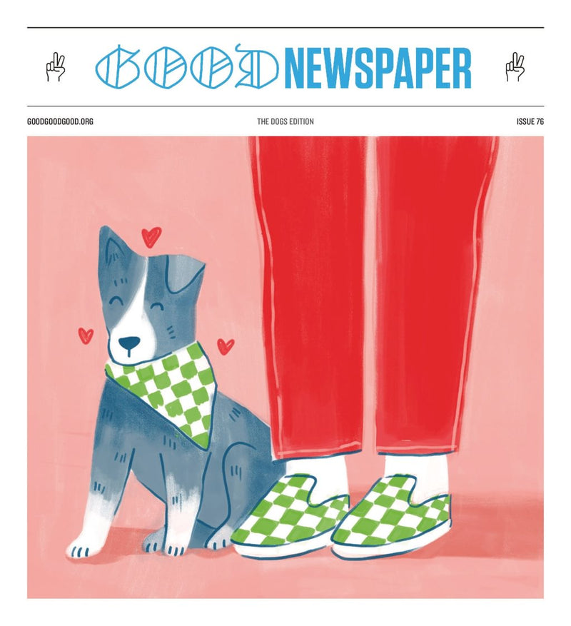 issue image