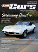 issue image