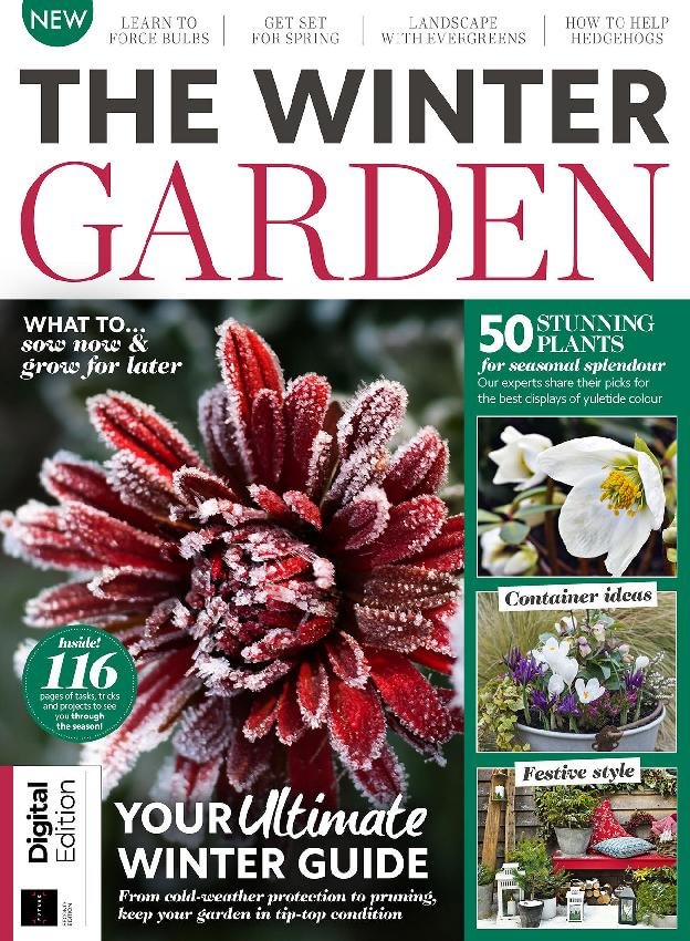 issue image