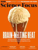issue image