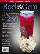 issue image